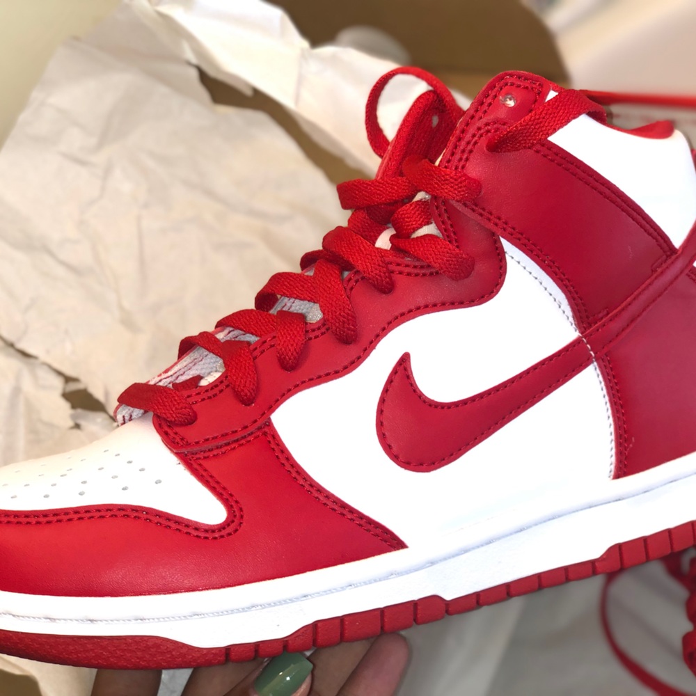 Nike Dunk High
